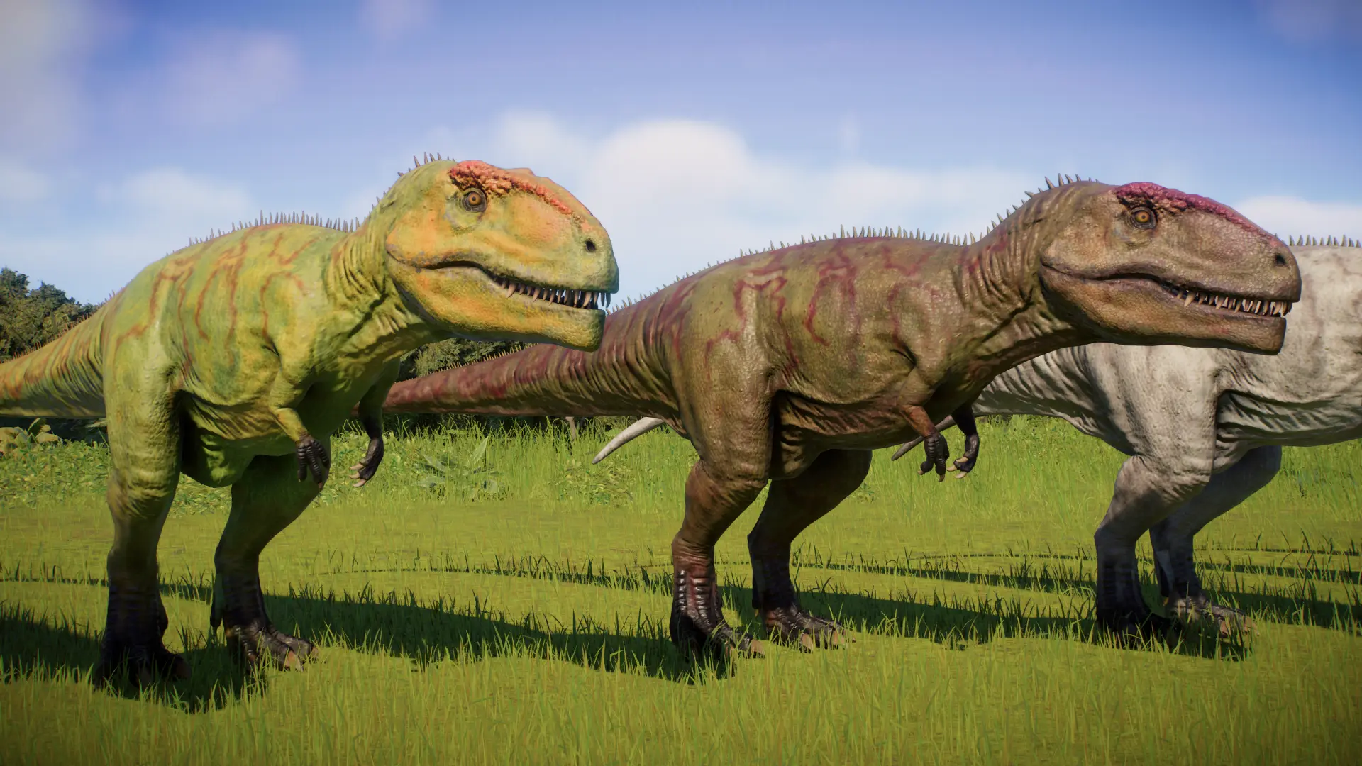 Carcharodontosaurus Acrocanthosaurus and Giganotosaurus SKIN JWE1 ...