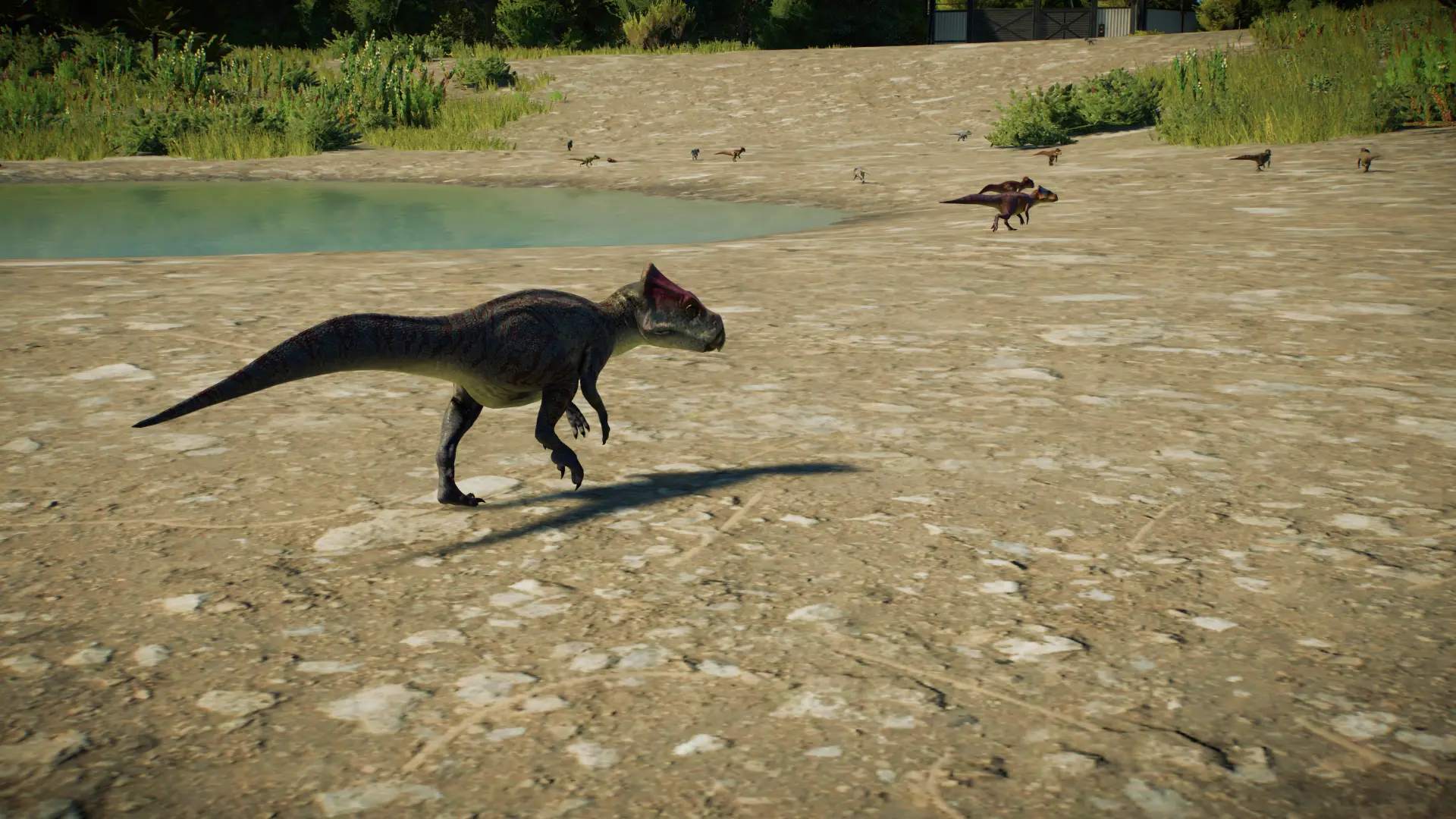 Pickle's Paleoverhaul - Microceratus at Jurassic World Evolution 2 ...