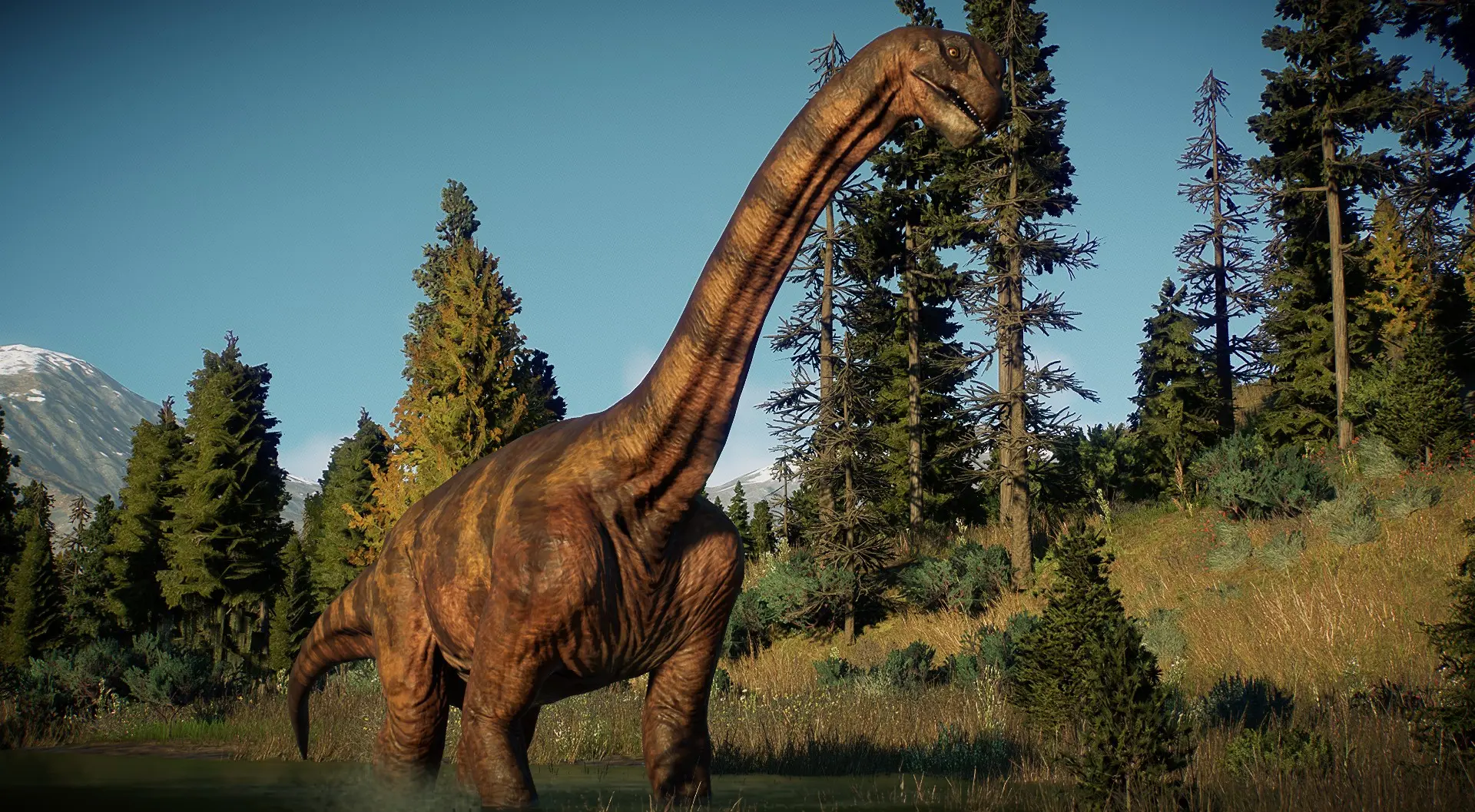 Camarasaurus JPOG Mod Skin at Jurassic World Evolution 2 Nexus - Mods ...