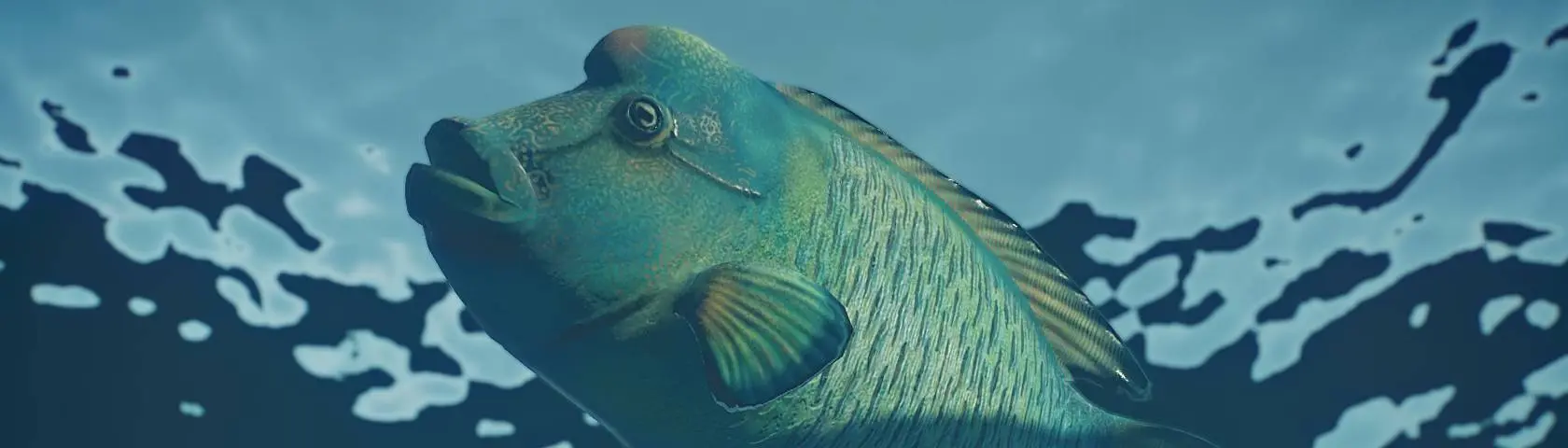 Humphead Wrasse - New Species (1.5) at Jurassic World Evolution 2 Nexus ...