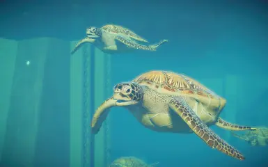 Green Sea Turtle - New Species (1.5) at Jurassic World Evolution 2 ...