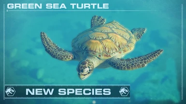 Green Sea Turtle - New Species (1.5)