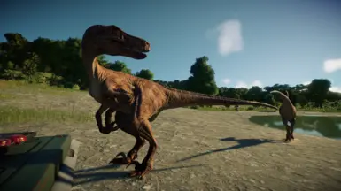 Pickle's Paleoverhaul - Velociraptor antirrhopus at Jurassic World ...