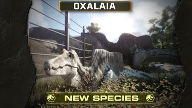 Oxalaia ( New Species ) (1.5)