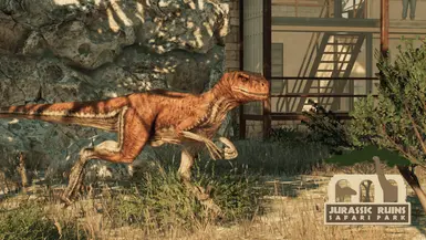 Atrociraptor