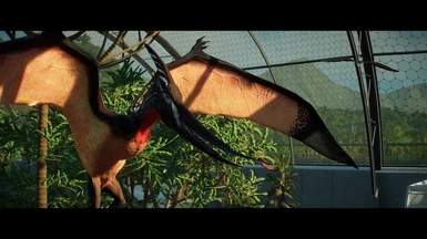 This pteranodon is pretty pog