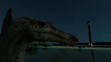 looks like a goose