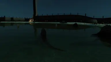 swimming with the boys
