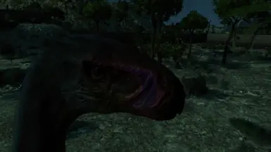 no claws ?
