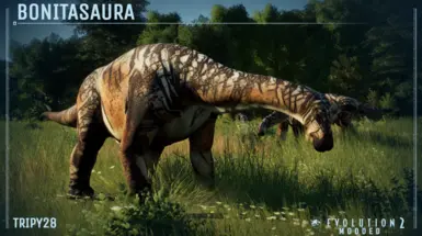 Screenshot by H.W.T.