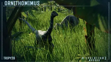 Screenshot by H.W.T.