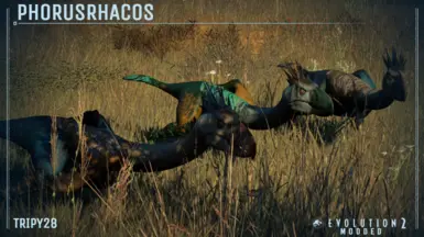 Screenshot by H.W.T.