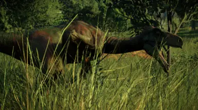 Screenshot by H.W.T.