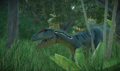 Allosaurus Jimmadseni MOR-693 (Replacement)