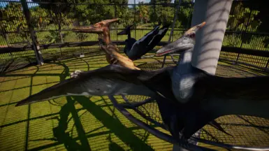 Pteranodon, Jurassic World Evolution Wiki