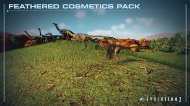 Feathered Cosmetics Pack