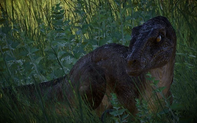 Velociraptor (JWE)