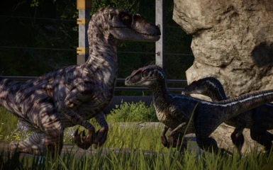 Velociraptor (JP3)