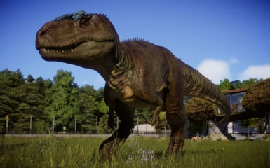 Giganotosaurus (JWE)