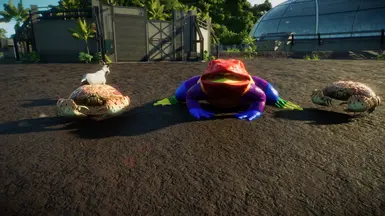 Gay Frog (New Scenery)