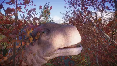Treetop Grazer