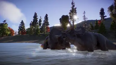 Dominance Battle