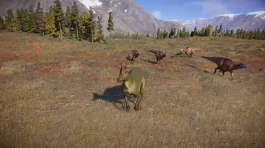 A Herd on The Move
