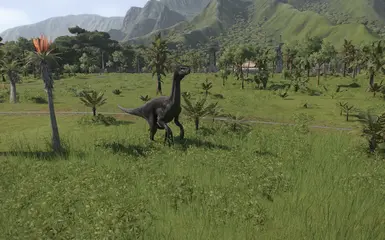 v.1.1