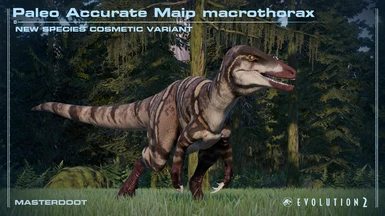 Accurate Maip macrothorax (NEW SPECIES COSMETIC)