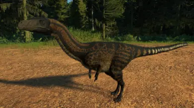 Fukuivenator (New Species)