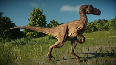 Pickle's Paleoverhaul - Velociraptor antirrhopus