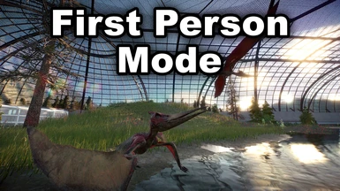 First Person Mode (1.2)