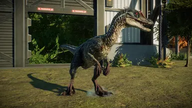 Feilong's Paleo Edits 2 Small Carnivores at Jurassic World Evolution 2 ...