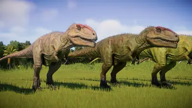 Carcharodontosaurus Acrocanthosaurus and Giganotosaurus SKIN JWE1 ...