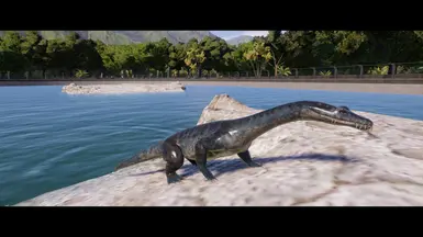Nothosaurus wanted to get fresh air.
