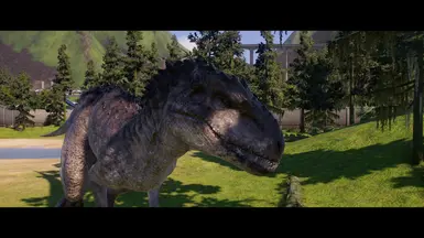 He is maybe looking for food.
