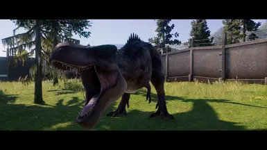 WHY DID YOU MAKE HIM ANGRY?