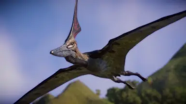 Glitchs Nyctosaurus NEW SPECIES