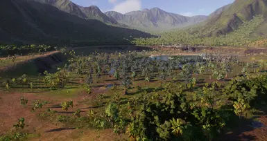 5.0 Swamp Overview