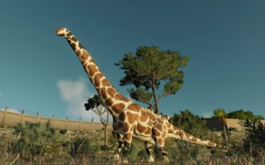 Giraffed Dreadnoughtus