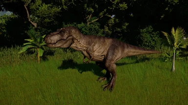 (OUTDATED) 1.1 Rexy