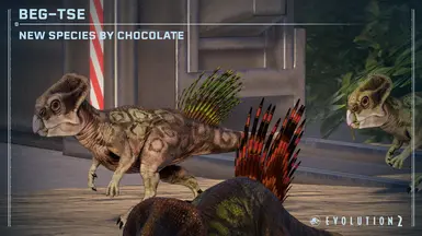 Chocolate's Beg Tse (New Species) (1.11)