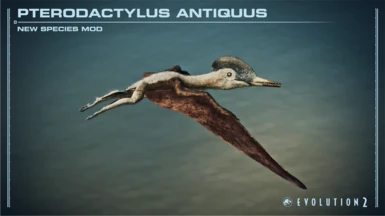 Pterodactylus (New Species) 1.10.0