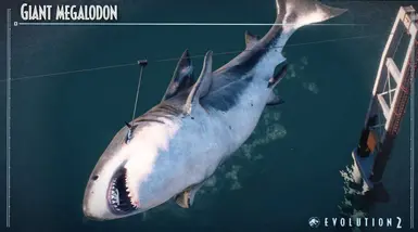 (THE MEG SIZE) MEGALODON