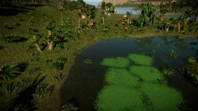 1.0 Swamp