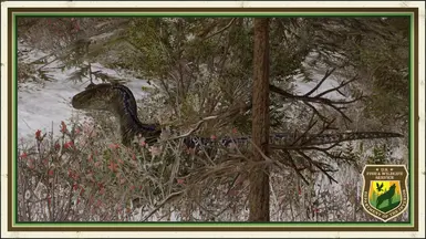Blue's Nest Near at Owen's Ranch