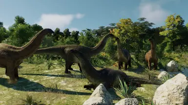 Sauropod Swamp