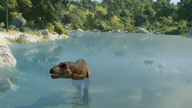 Lagoon