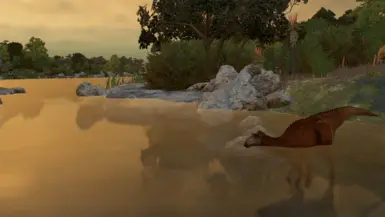 Lagoon