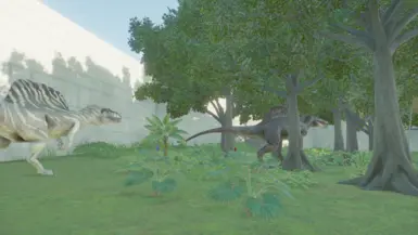 Spino research paddock